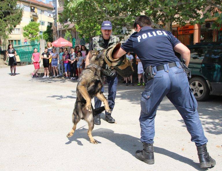 Общество | Четириноги полицаи гостуваха на  ученици от ОУ „Св. П. Евтимий“
