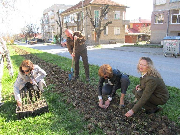Горещи новини | В Лясковец залесяваха в Седмицата на гората