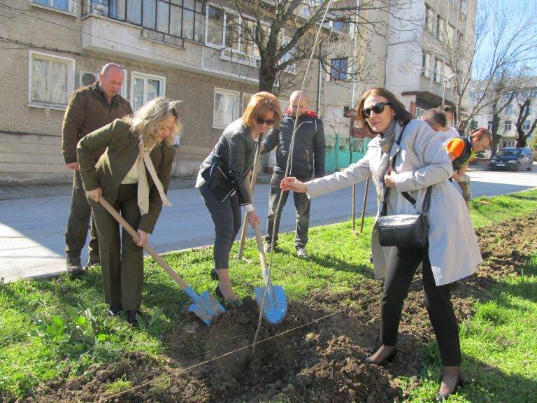 В Лясковец залесяваха в Седмицата на гората