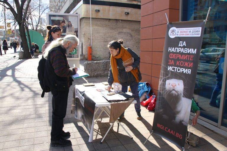 Събират подписи за забрана на  добива на ценни кожи в България