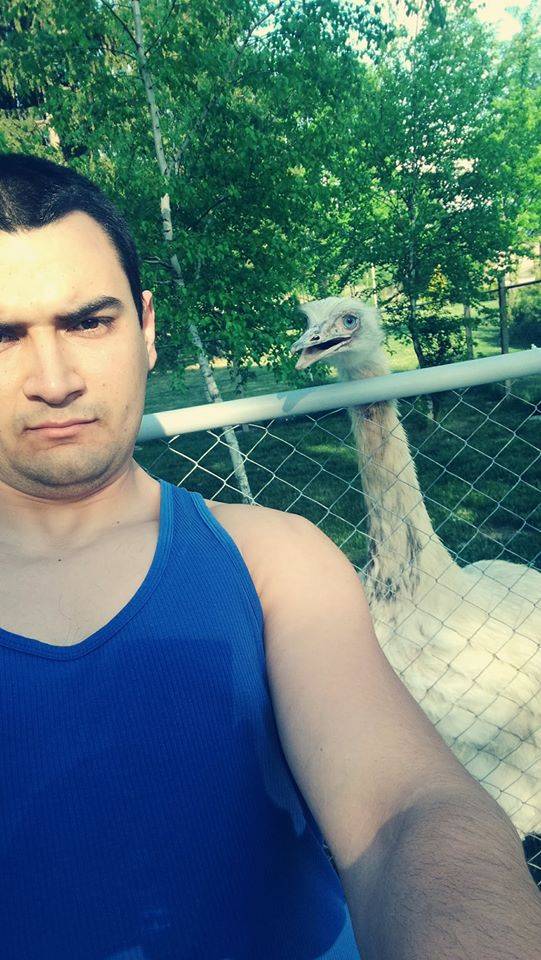 Горещи новини | Павликени реши вечния спор: „Кокошката е първа“