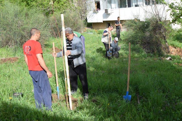 Горещи новини | Започна засаждането на фиданки в Г. Оряховица