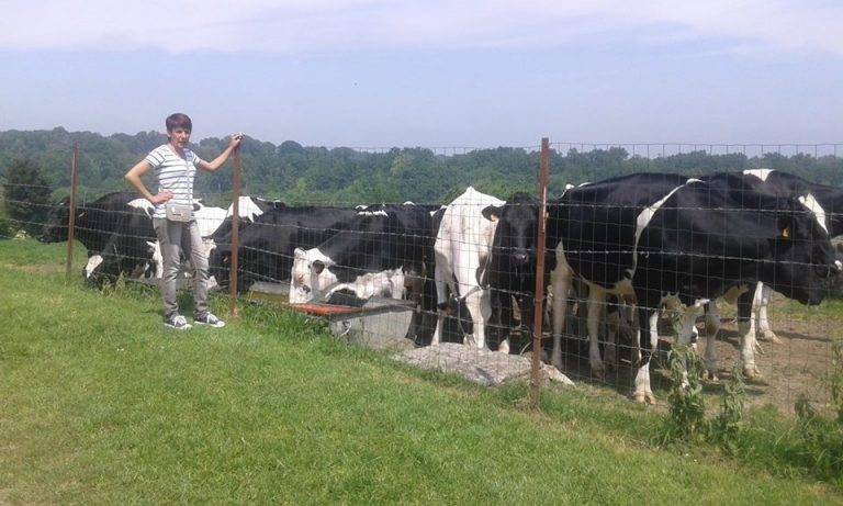 Никюп се побратими с  френското село Ондовил