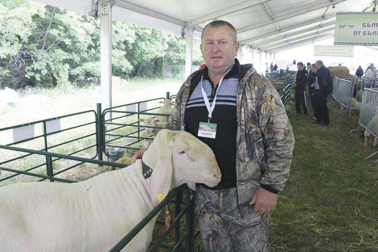 Общество | За Мариян да печели от овцевъдството  се оказва “приказка от 1001 нощ”