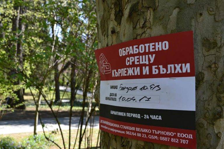 Здраве | Нов случай на лаймска болест заради ухапване от кърлеж