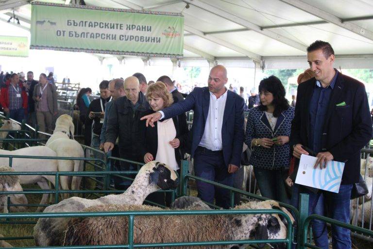 Гайди, чевермета, скари и над 150 000 гости на Събора на овцевъдите край Лясковец