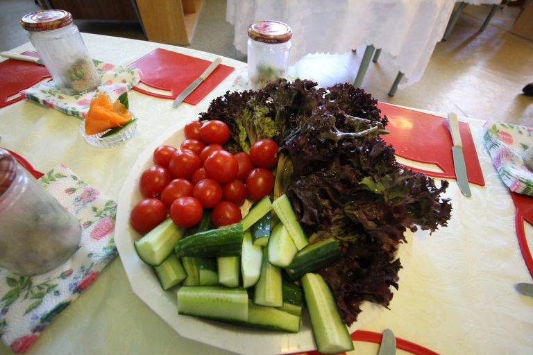 240 малчугани от ДГ „Ален мак“  станаха посланици на Джейми Оливър