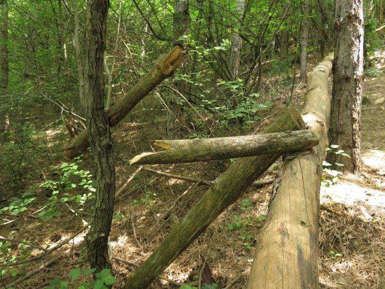 Крими | Вандали изпотрошиха дървени  парапети на екостадион “Пишмана”