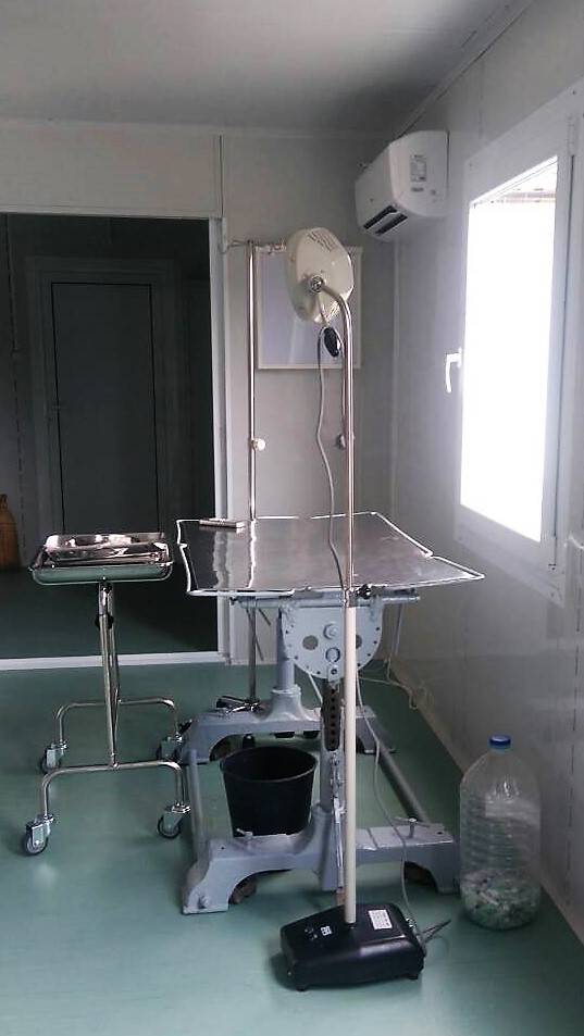 Общество | Кастрират безплатно кучета в новата амбулатория на общинския приют