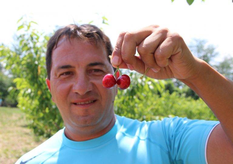 Треньор по тенис отглежда 42 дка с череши в Дебелец  и Елена