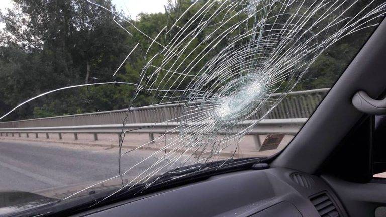 Горещи новини | Изгнил бор падна върху колата  на художника Милен Джановски