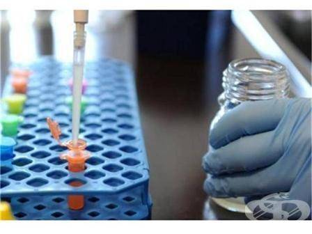 Здраве | Първи случай на трихоцефалоза  в областта, 16 души от домове опаразитени