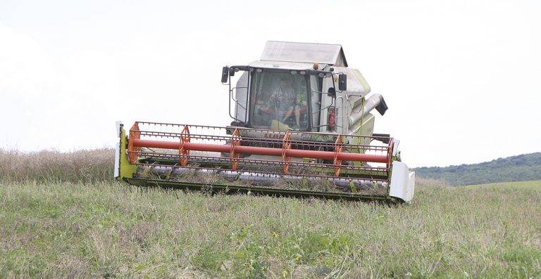 Общество | Ожънаха половината от пшеницата в областта