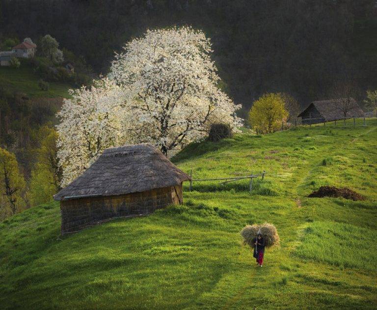Общество | Миро Момински – криминалистът, който  се посвети на обектива и голямата любов
