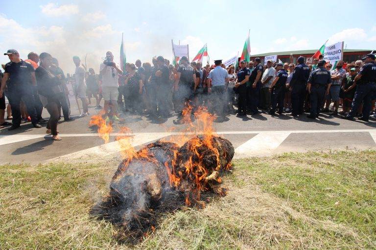 Животновъди разляха мляко и затвориха главен път София – Варна при Шереметя