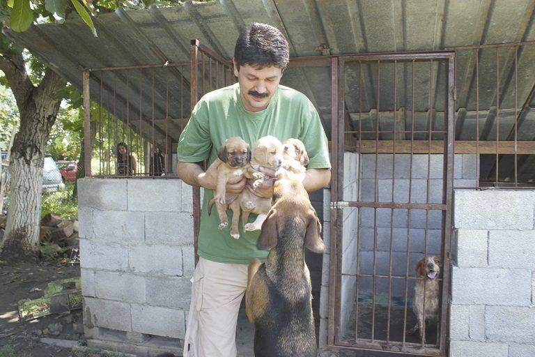 Общество | Стефан Михайлов –  повелителят на кучетата