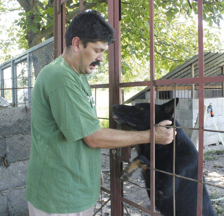 Стефан Михайлов –  повелителят на кучетата