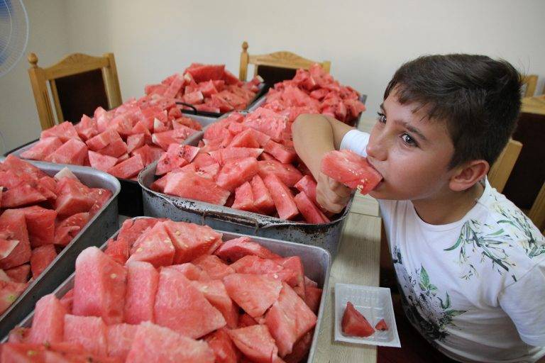 Горещи новини | Стотици  гости и заселници похапнаха сладка диня в Никюп