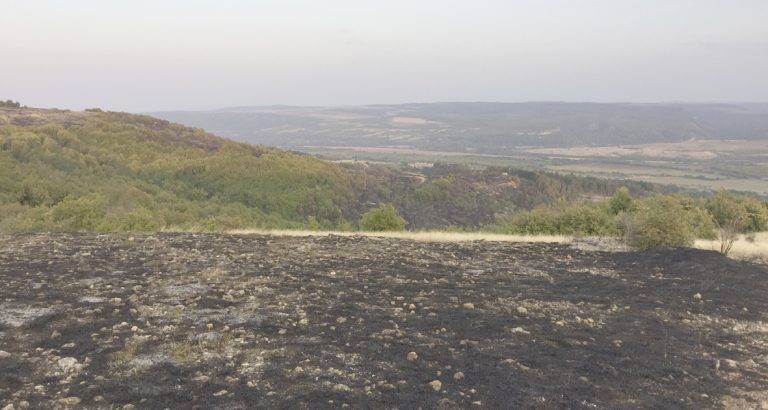 Крими | Спасиха от огнен ад гори  и къщи край Сухиндол