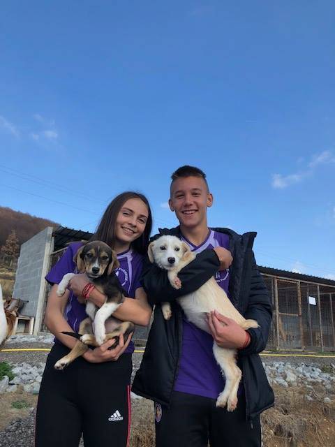 Учениците от Спортното училище започнаха кампания „Шаро търси дом“