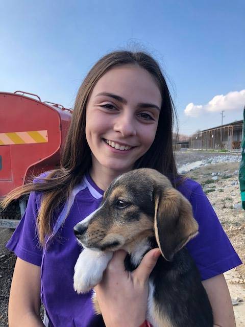 Учениците от Спортното училище започнаха кампания „Шаро търси дом“