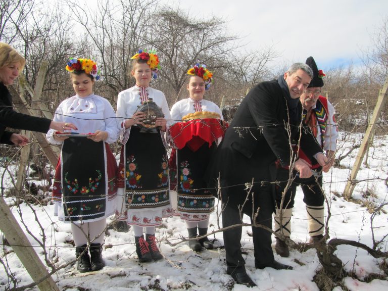 С вино и пелин поляха празника в Лясковец