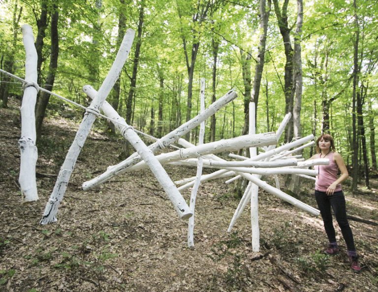 Артисти от девет държави правиха изкуство сред природата в Габровци