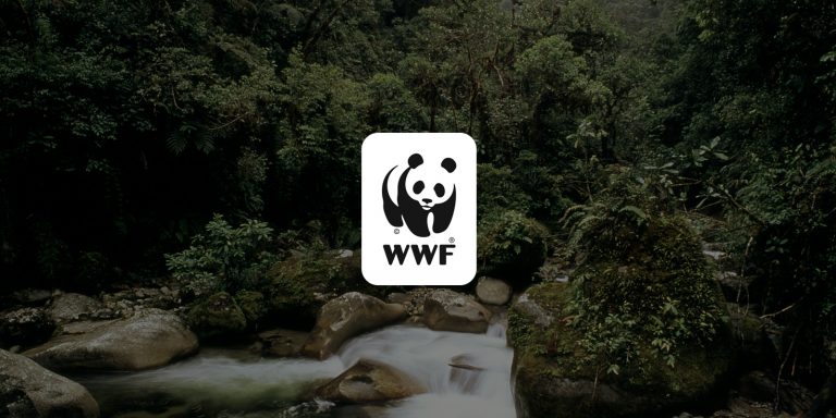 Природозащитната организация WWF гостува във Велико Търново