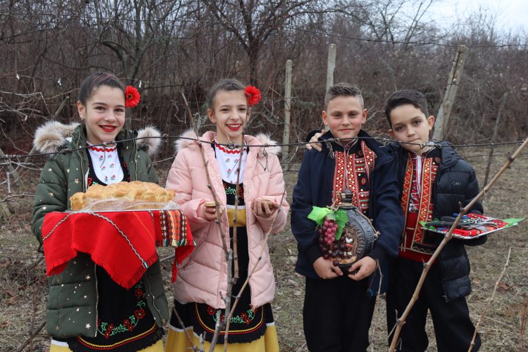 С винени конкурси, с фолклорни концерти и със зарязване бе отбелязан празникът Трифон Зарезан в община Лясковец