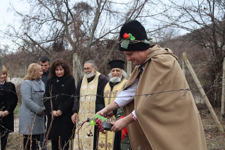 С винени конкурси, с фолклорни концерти и със зарязване бе отбелязан празникът Трифон Зарезан в община Лясковец