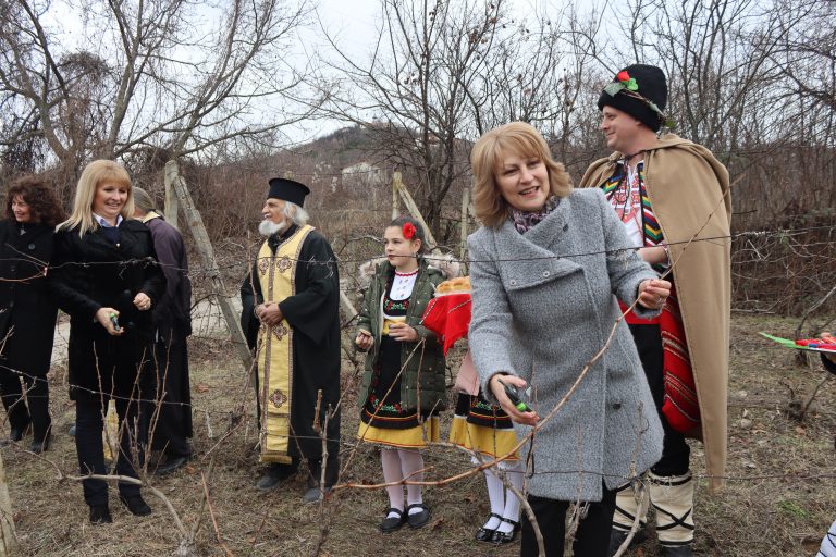 С винени конкурси, с фолклорни концерти и със зарязване бе отбелязан празникът Трифон Зарезан в община Лясковец