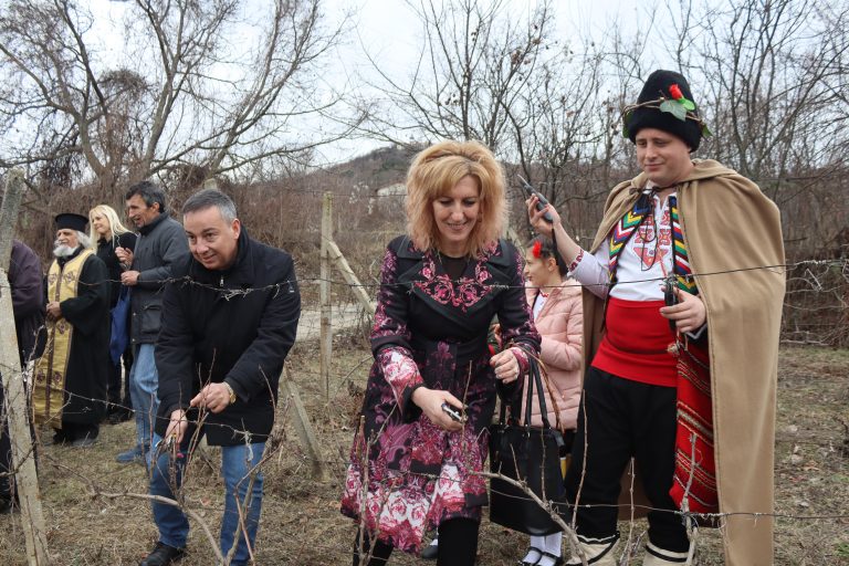 С винени конкурси, с фолклорни концерти и със зарязване бе отбелязан празникът Трифон Зарезан в община Лясковец