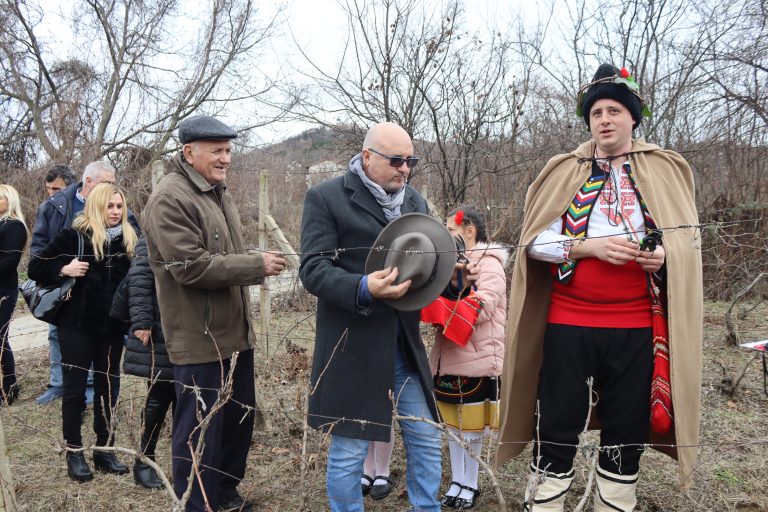 С винени конкурси, с фолклорни концерти и със зарязване бе отбелязан празникът Трифон Зарезан в община Лясковец