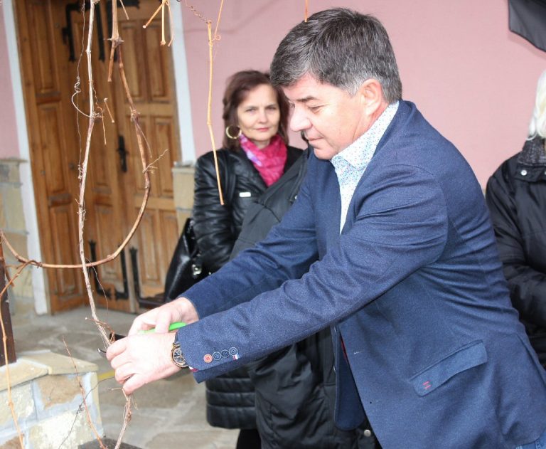 Стражица | Стражица отбеляза Трифон Зарезан с ритуално  зарязване и конкурс за най-добро домашно вино