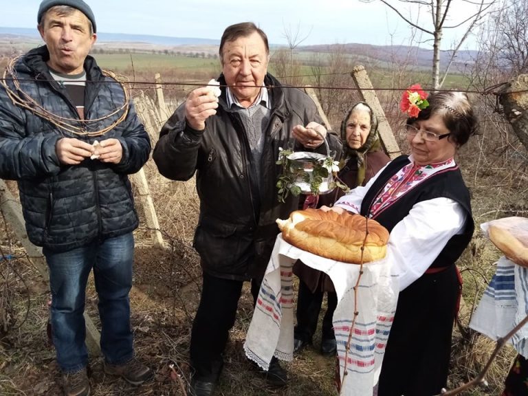 С винени конкурси, с фолклорни концерти и със зарязване бе отбелязан празникът Трифон Зарезан в община Лясковец