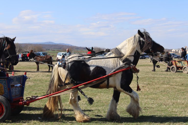 В три лясковски села имаше надпревари за Конския Великден