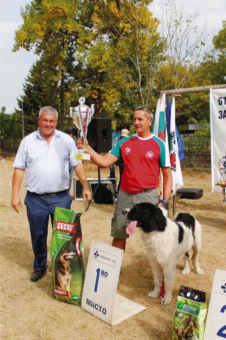 Горна Оряховица | Овчарката Чинара спечели Купата на кмета на Първомайци