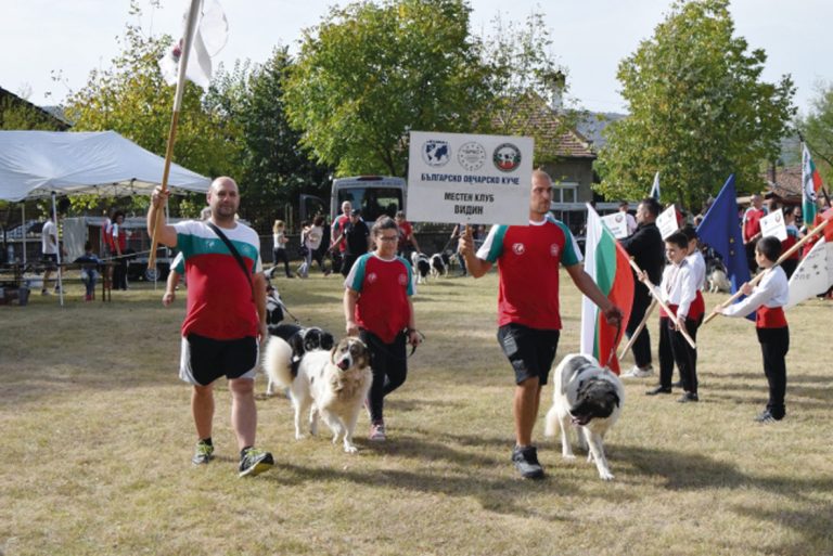Овчарката Чинара спечели Купата на кмета на Първомайци