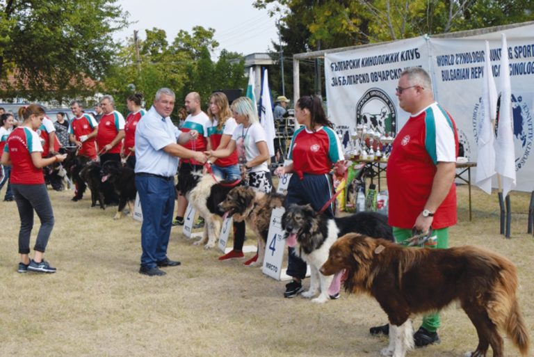 Овчарката Чинара спечели Купата на кмета на Първомайци