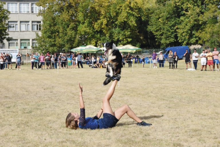 Овчарката Чинара спечели Купата на кмета на Първомайци