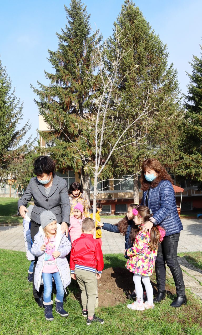 Със засаждането на дръвче децата от лясковската градина „Радост“ приключиха свой екопроект