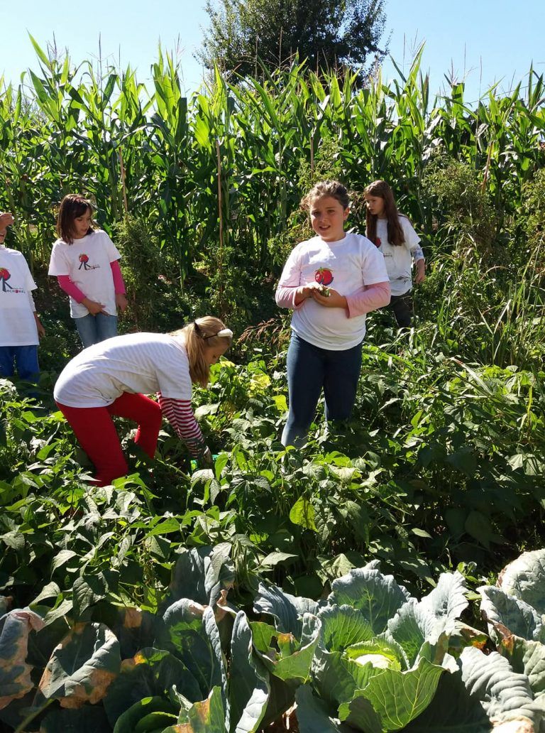 Горещи новини | Три екопроекта на стойност 20 хиляди лева ще се реализират в Лясковец