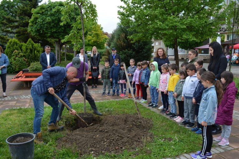 Павликени | Японска плачеща вишна засадиха в Павликени децата от ДГ „Слънце“