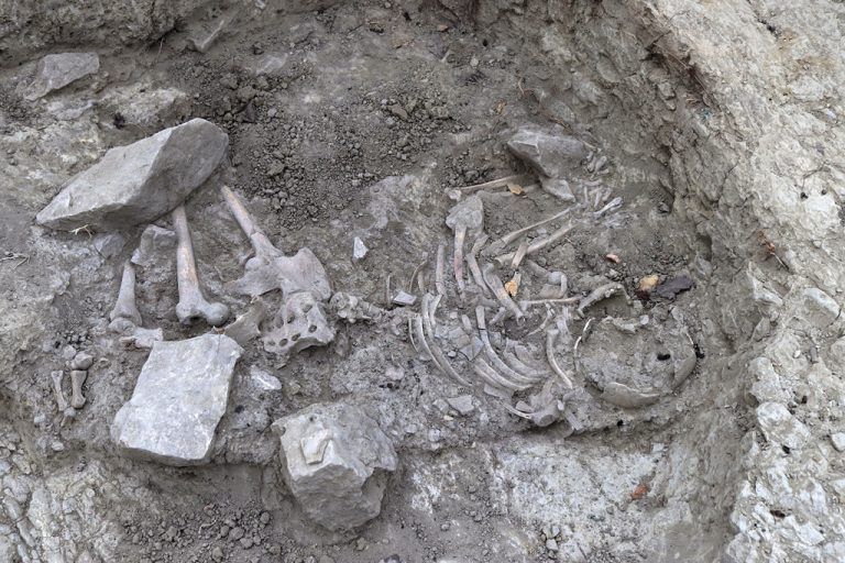 На необичайно погребение попаднаха археолозите в крепостта Ряховец