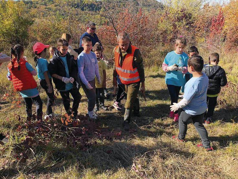 Горна Оряховица | Деца залесяваха Божур поляна