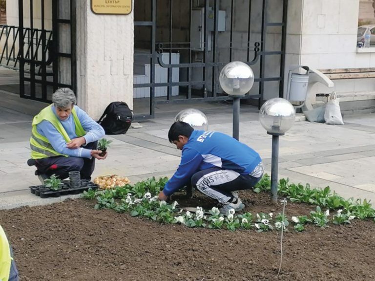 Горна Оряховица | С 10 000 стръка затревяват  Г. Оряховица