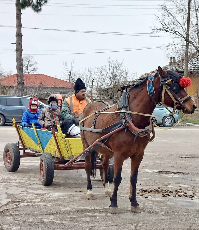 В лясковските села Добри дял, Джулюница и Козаревец се проведоха традиционните тодоровски кушии