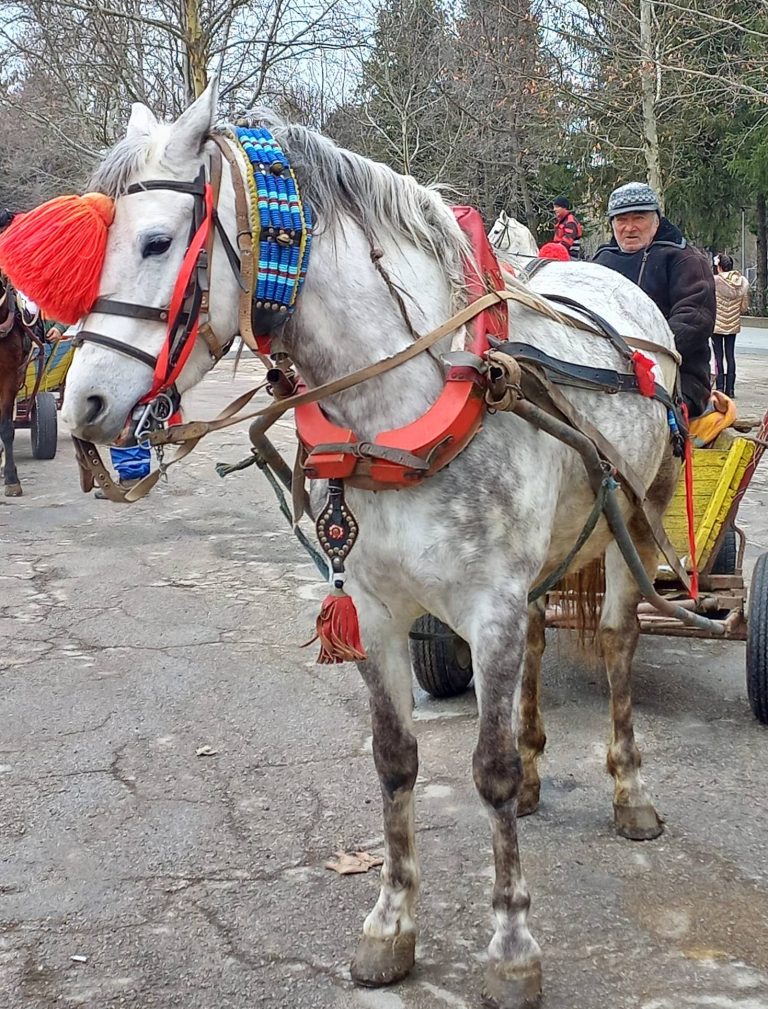 В лясковските села Добри дял, Джулюница и Козаревец се проведоха традиционните тодоровски кушии