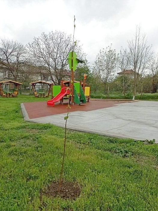 Горещи новини | В Лясковец граждани, институции и фирми се включиха в кампанията „За по-зелена Община“