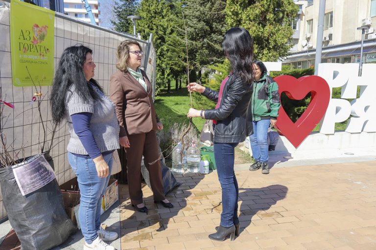 Горна Оряховица | Над 400 фиданки раздаваха служители  на горското стопанство в Горна Оряховица